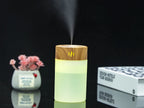 DwellCozy 260ml USB Ultrasonic Vase Aroma Diffuser
