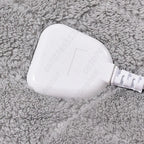 PlushWarm Velvet Plush Electric Blanket