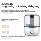 DwellCozy 3L Air Humidifier