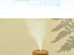 DwellCozy 260ml USB Ultrasonic Vase Aroma Diffuser