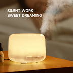 DwellCozy 500ml Ultrasonic Air Humidifier