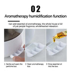 DwellCozy 3L Air Humidifier